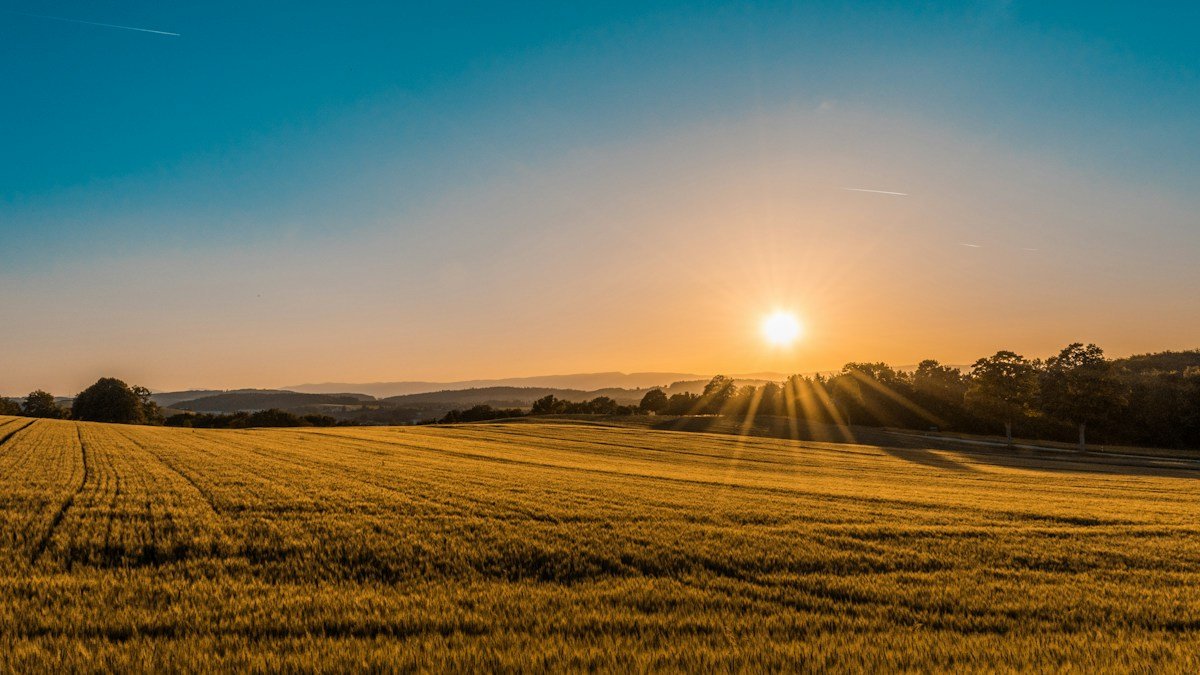 Cultivated agricultural fields illustrating crop sowing and water availability